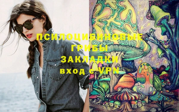 круглые Вяземский